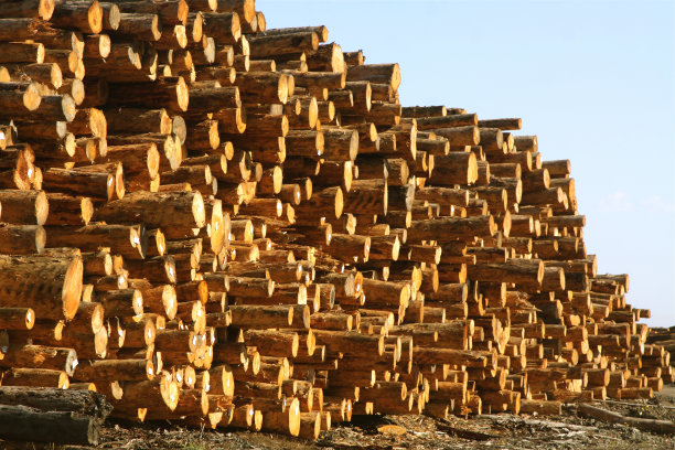 原始原木的工业堆图片下载