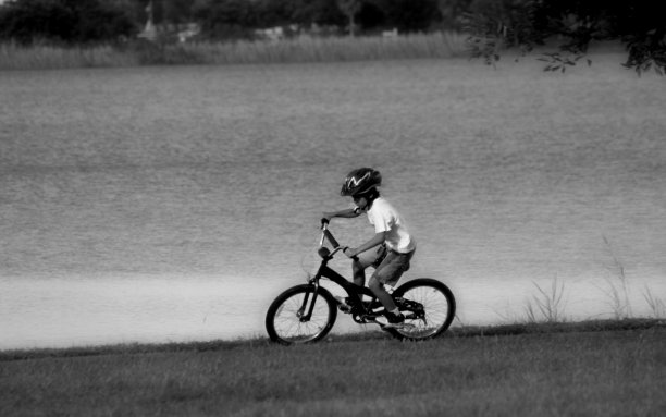 自行车BW图片下载