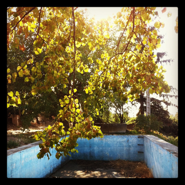 老而空的池子图片下载