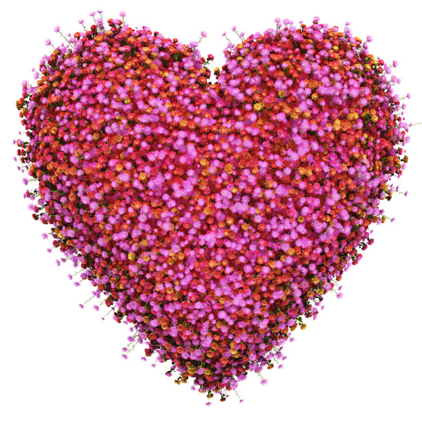 鲜花盛开的心图片下载