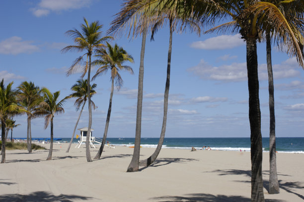 劳德代尔堡海滩图片下载