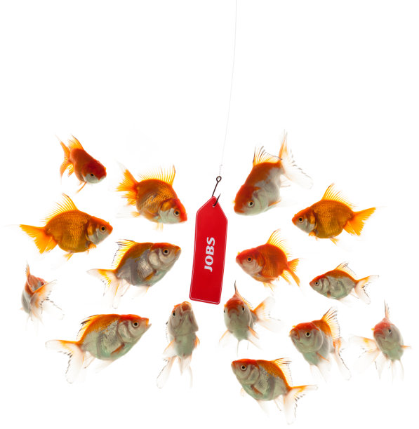 求职陷阱图片下载