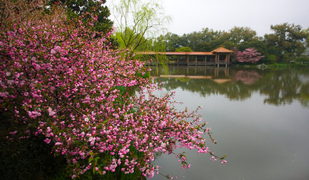 湖照片素材ID：144327838