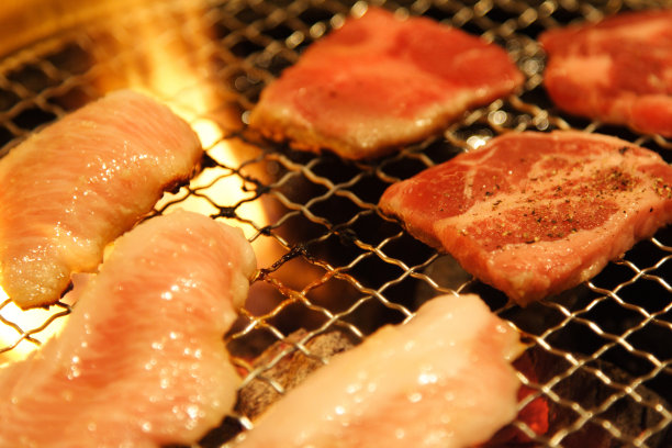日式烧肉,日本烧烤。图片下载