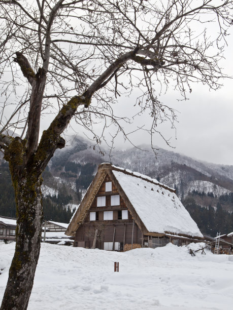 白川吾传统房屋覆盖着积雪图片下载