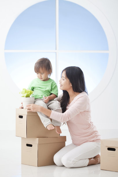 全新的开始图片下载