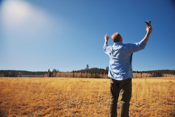 金色草地上的崇拜者。图片下载