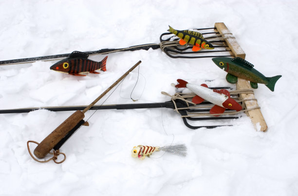 派克大头狗母鱼诱饵图片下载