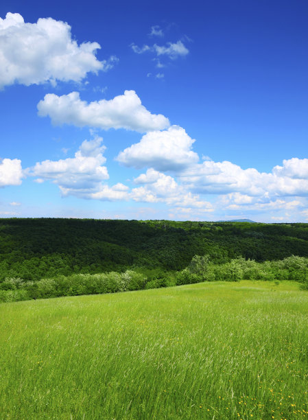 春天的风景图片下载