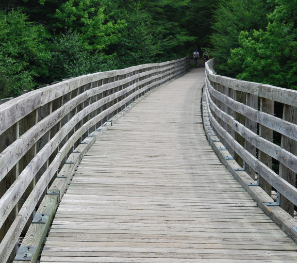 骑自行车的人接近维吉尼亚爬树小道上森林里的一座桥图片下载