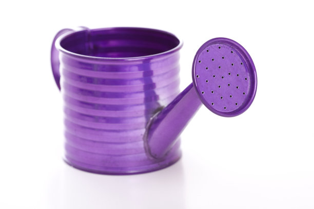 紫色的喷壶图片下载