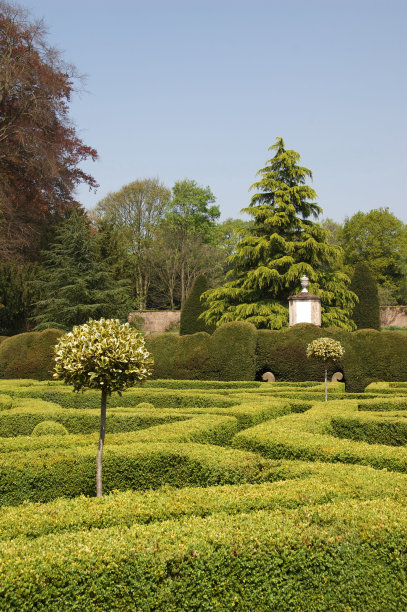 正式的花园场景图片下载