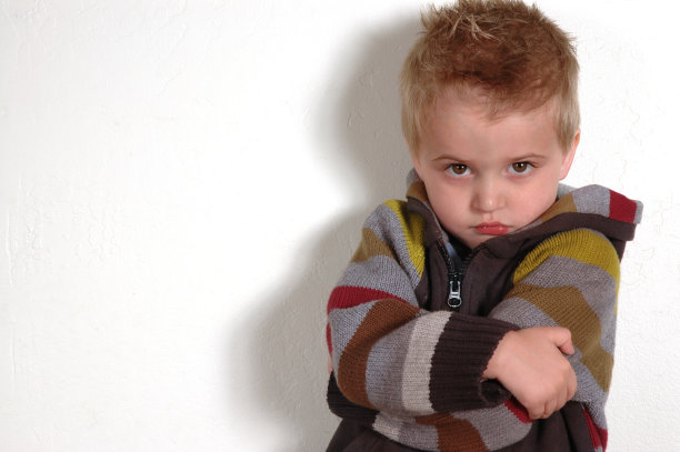 欧掠鸟是图片下载