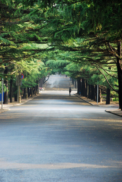 早上路图片下载