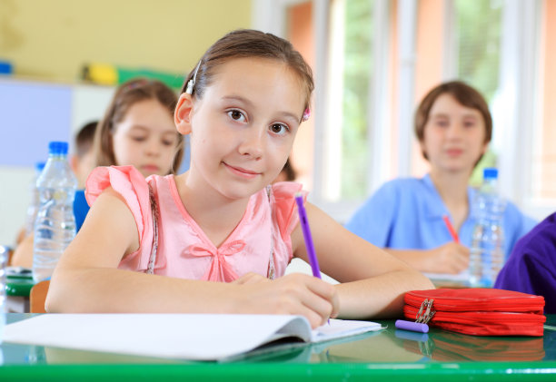 小学生在笔记本上写课文。图片下载