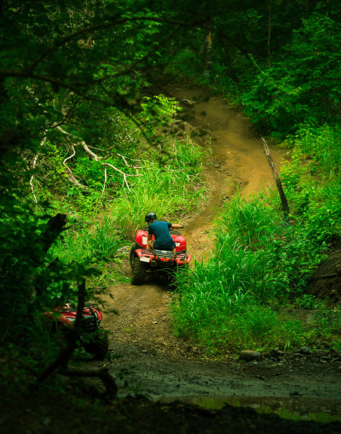 在哥斯达黎加开沙滩车图片下载