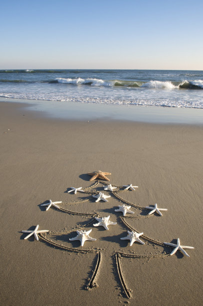 和海星一起过圣诞节图片下载