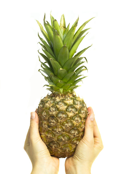 一个菠萝图片下载