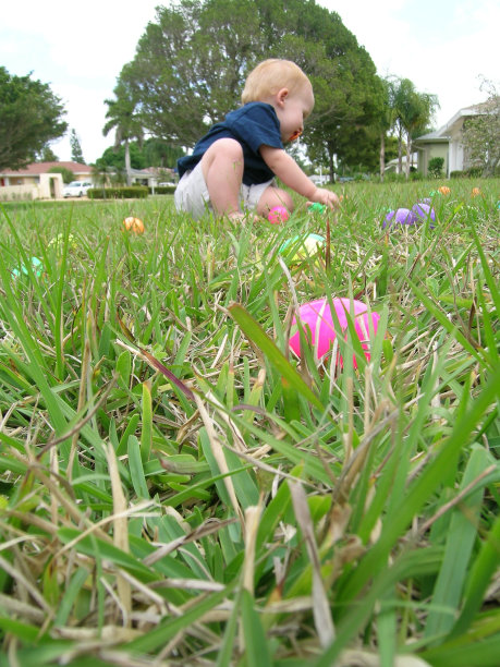 寻找复活节彩蛋图片下载