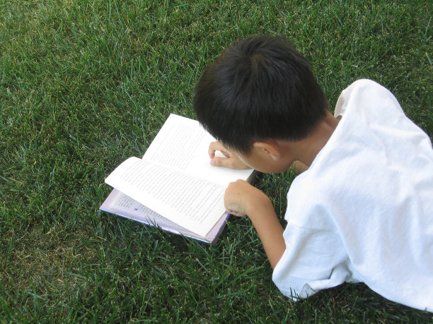 夏季阅读-特写图片下载