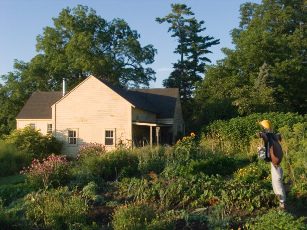 黑色的水壶农舍图片下载