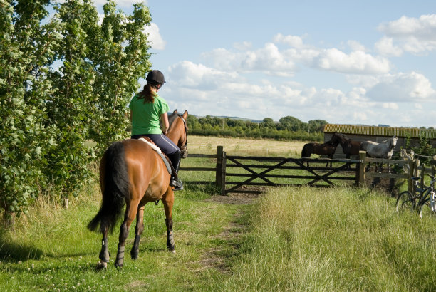 骑着马的年轻女子图片下载