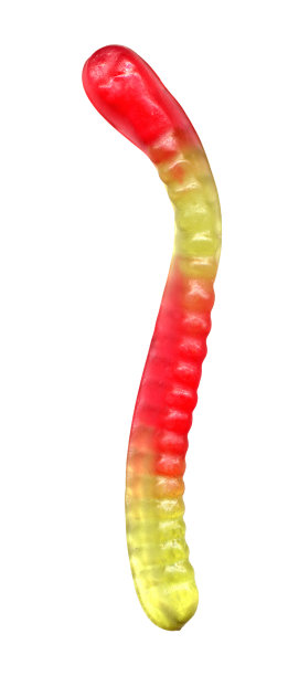 讨厌的虫子图片下载