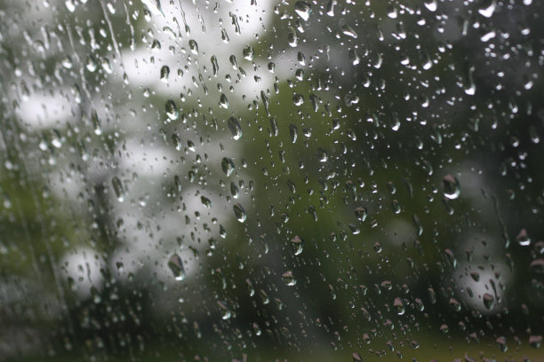 潮湿的周末图片下载