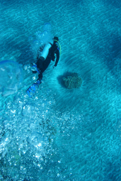 水肺潜水员的气泡图片下载