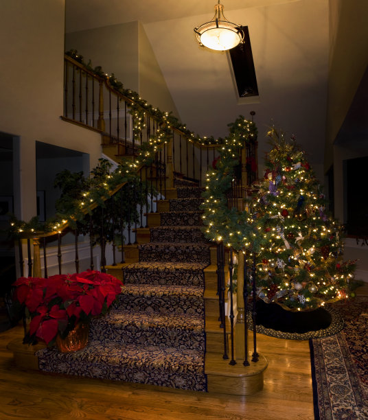 圣诞之家全景 XXL图片下载