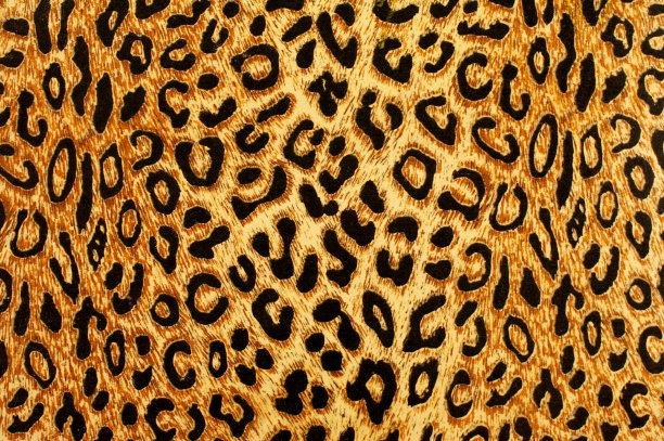 豹纹背景素材ID：144589960