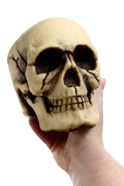 手里拿着一个头骨图片下载