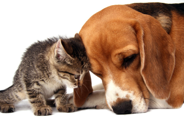 和我玩!图片下载