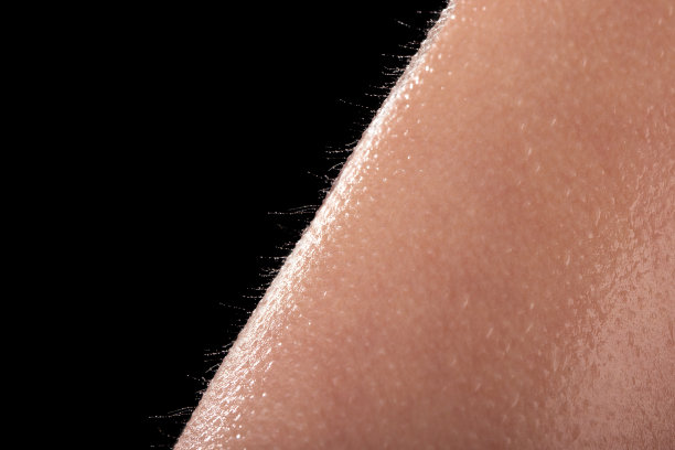 皮肤图片素材ID：144631822