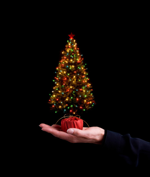 举着圣诞树图片下载