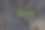 安全的互联网浏览图片下载