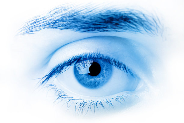 蓝眼宏图片下载