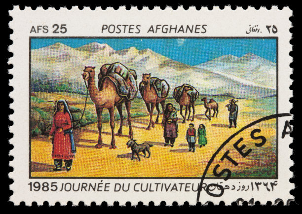 阿富汗家庭和骆驼邮票图片下载