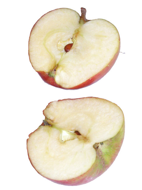 切苹果图片下载