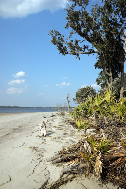乔治亚州杰基尔岛海滩素材图片