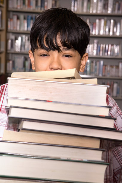 太多的书图片下载