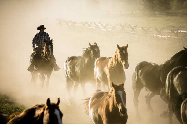 牧场:被牛仔围在一起的一群马。图片下载