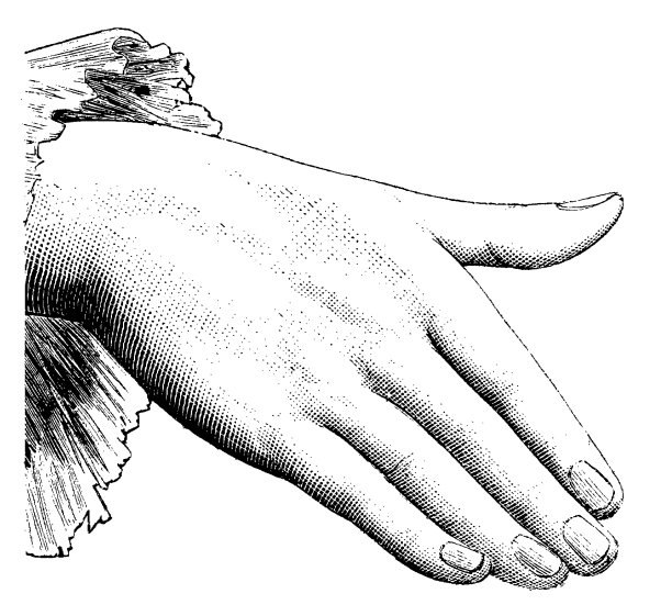 复古剪辑艺术和插图|女性手图片下载