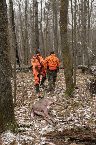 两个猎人拖着鹿V图片下载