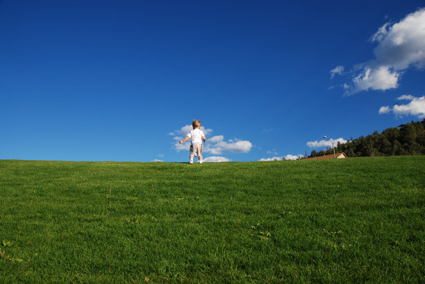 草山上的男孩图片下载