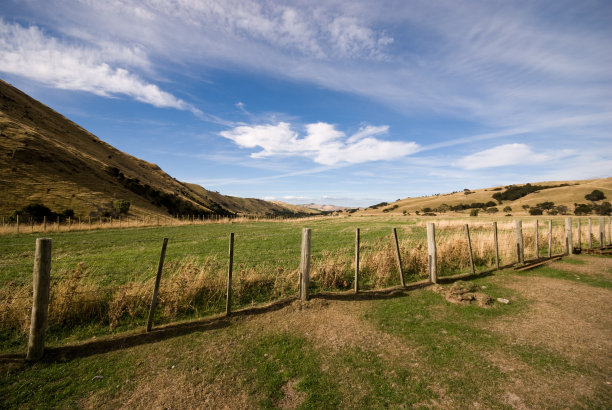 Wairarapa栅栏图片下载