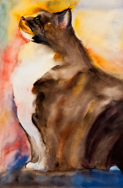 水彩的猫图片下载