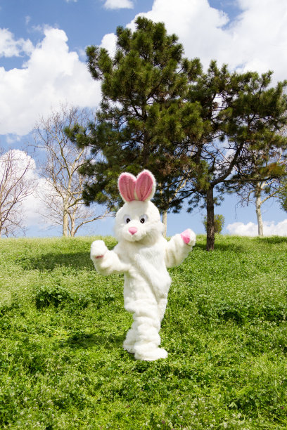 复活节兔子在美丽的春天草地上图片下载