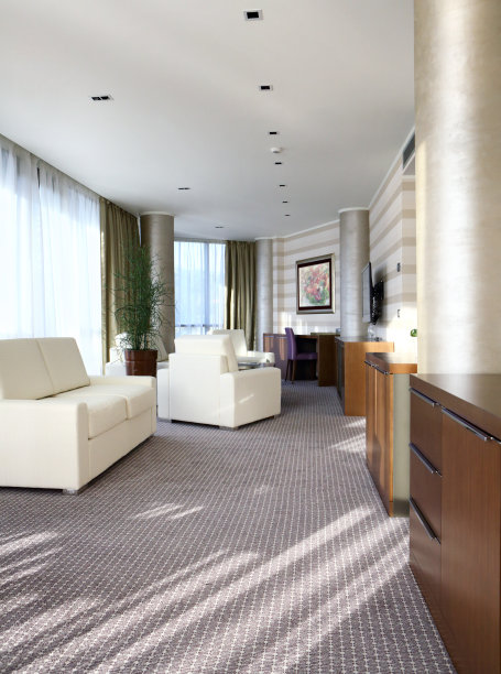 酒店套房。图片下载