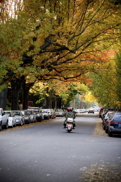 秋天的风景图片下载